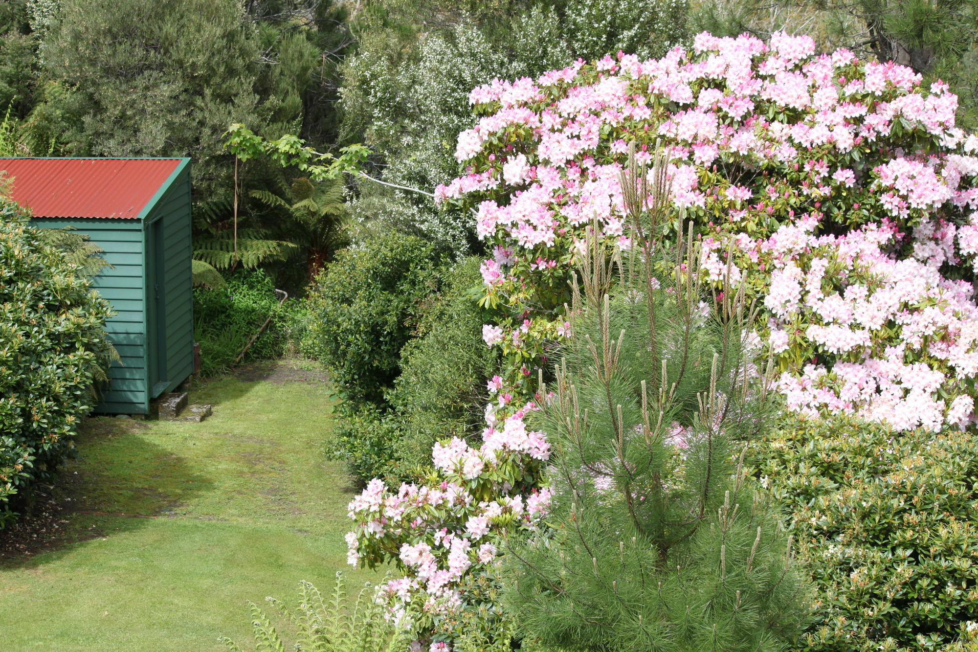 Penghana Bed And Breakfast Queenstown Exterior photo
