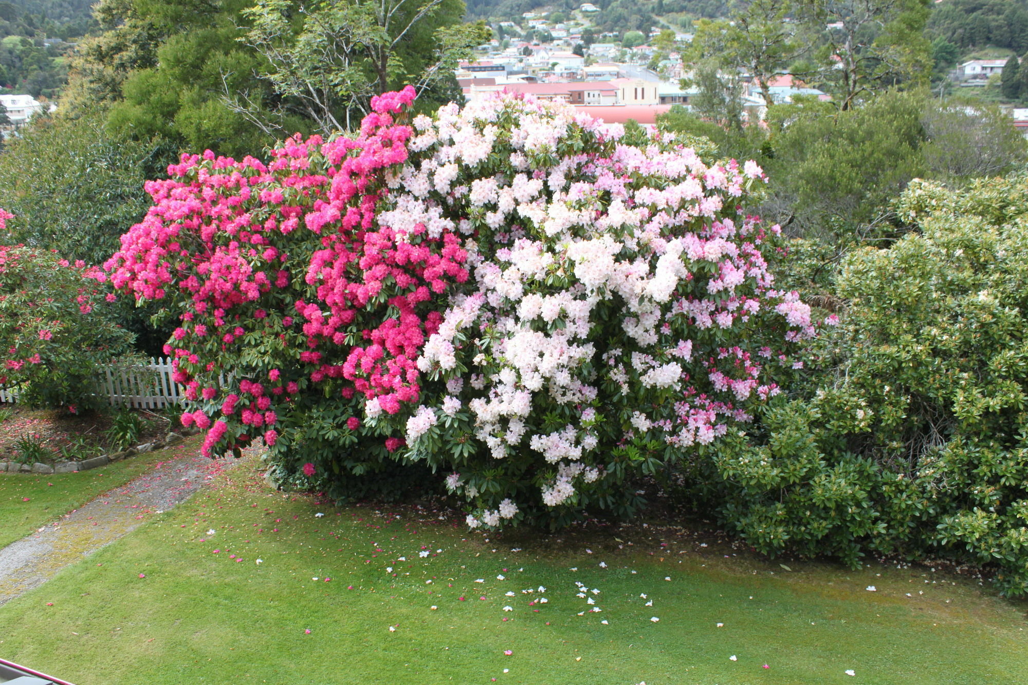 Penghana Bed And Breakfast Queenstown Exterior photo